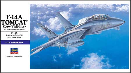 hasegawa f14 tomcat model aircraft