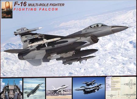 EuroGraphics F-16 Fighting Falcon Puzzle (1000-Piece)